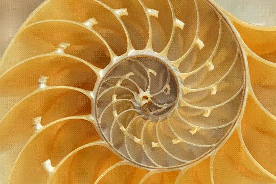 Holistic Architecture