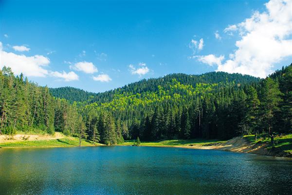 Turkey - Karabuk Yenice Forrests