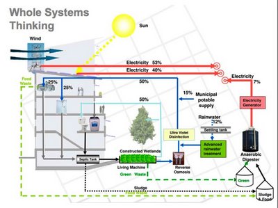 whole_systems_thinking